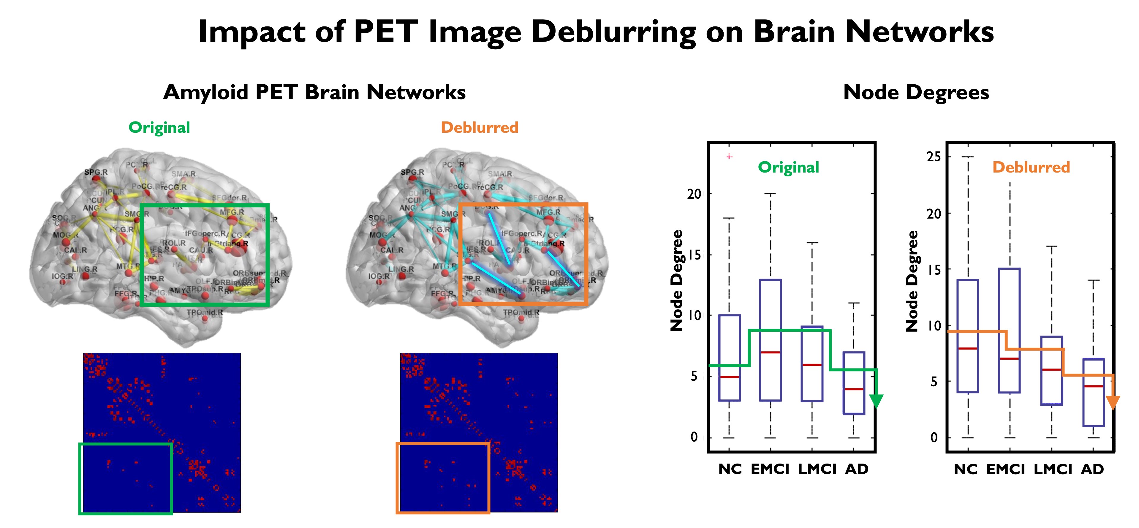 Amyloid Networks in AD